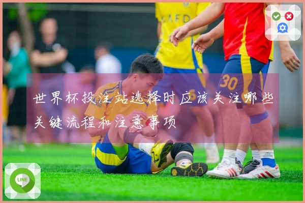 世界杯投注站选择时应该关注哪些关键流程和注意事项
